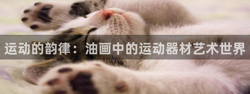 熊猫体育开户:运动的韵律:油画中的运动器材艺术世界