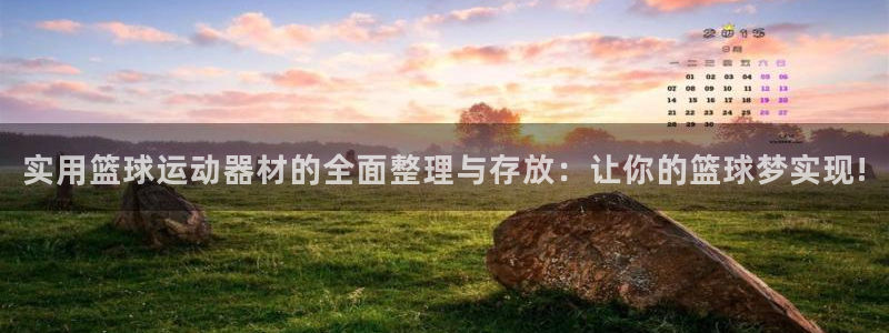 熊猫体育集团官网网址:实用篮球运动器材的全面整理与存放:让你