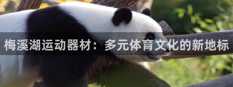 熊猫体育官网下载平台是正规平台吗安全吗:梅溪湖运动器材:多元