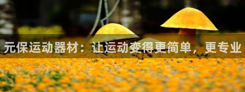德国熊猫体育集团:元保运动器材:让运动变得更简单,更专业